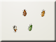 BugTwoThree