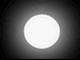 Moon Ball