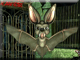 Bat
