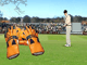Catchcricket